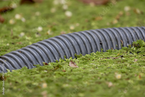 Фотография Calm close up detail of black corrugated plastic drainage pipe on ground