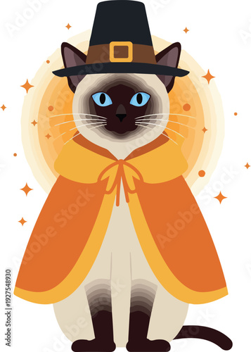 Siamese Cat Pilgrim Costume Orange Cape Black Hat Orange Halo Isolated
