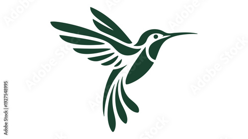 Graceful hummingbird in mid-flight with spread wings and long beak