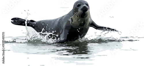 image_A_charming_Weddell_s_seed425576_1761641447739_2