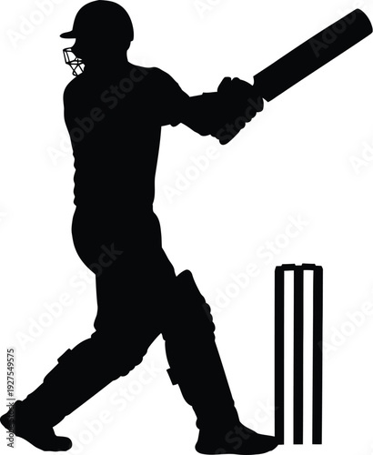 Cricket player silhouette