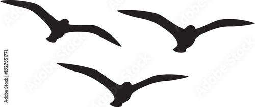 A trio of black silhouette seagulls gracefully soaring in flight against a stark white backdrop, evoking a sense of open skies and coastal serenity. , Generative Ai