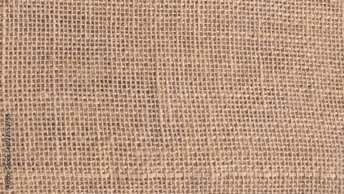Brown sackcloth texture or background and empty space. Jute burlap canvas texture. Background for text and picture.