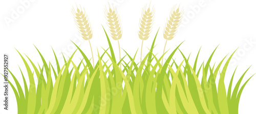 Green Grass and Wheat Ears Vector Illustration with Fresh Meadow Field Plants and Natural Agriculture Landscape Design