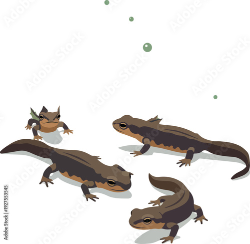 Triton Family Swimming in Water Vector Illustration Minimal Style