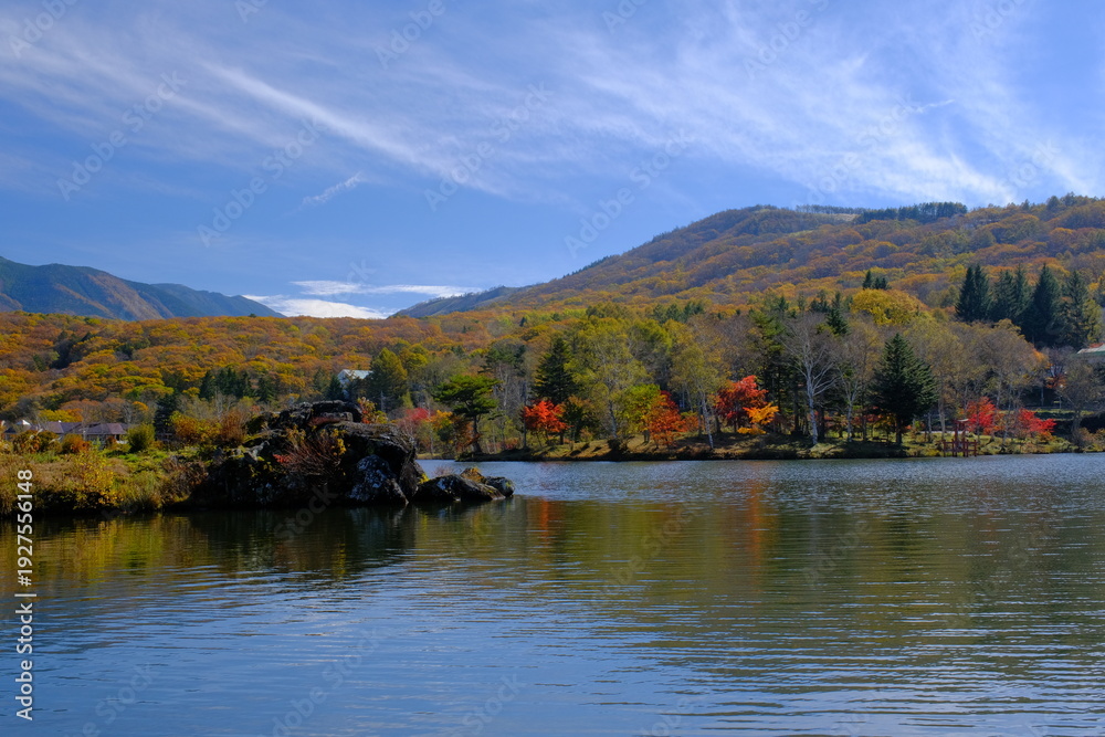 Obraz premium 白樺湖の紅葉の森と御座岩遺跡 