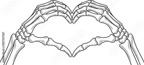 Skeleton hands forming heart shape vector illustration, anatomical bones love symbol isolated medical design