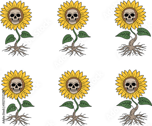 Skull sunflower collection vector illustration, surreal gothic flowers with roots isolated on white background for tattoo design
