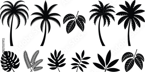 Tropical palm trees and exotic leaves silhouette vector set, botanical jungle plants illustration collection design