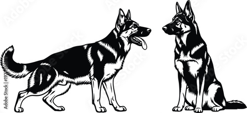 Black and white silhouette of two German Shepherd dogs, one standing and one sitting, detailed canine breed illustration for security and pet design.