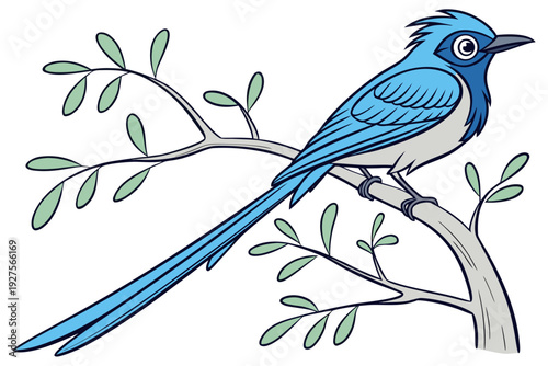 Wallpaper Mural A striking blue bird with an exceptionally long tail and a distinctive crest, elegantly perched on a simple tree branch adorned with delicate green leaves. Torontodigital.ca