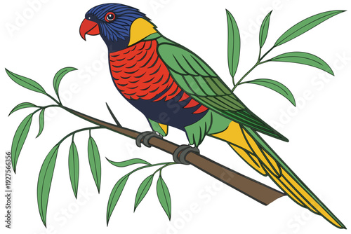 A vibrant cartoon rainbow lorikeet with blue head, red chest, green wings, and yellow belly, perched on a leafy branch against a white backdrop.