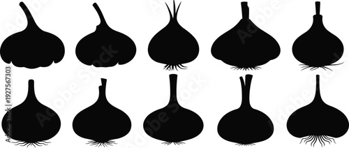 Garlic bulb silhouette collection set, black garlic heads isolated on white background for cooking, organic food and agriculture design