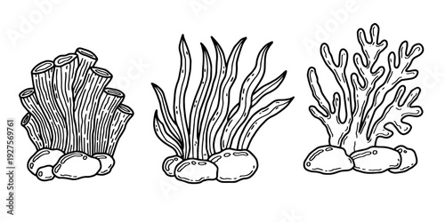 Underwater coral and seaweed vector set, hand-drawn marine plants line art. Minimalist ocean reef illustrations, black and white sea life doodles isolated