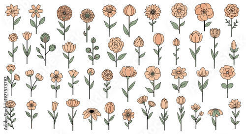 Large collection of diverse flower icons in a simple hand-drawn style with soft peach colors for garden and floral themes.