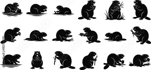 Black beaver silhouette vector set, various poses of semi-aquatic rodent chewing wood and swimming, wildlife collection isolated on white background,