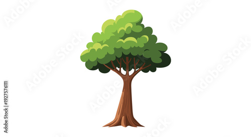 Detailed flat illustration of a single leafy green tree with a brown trunk and roots on a clean white background.