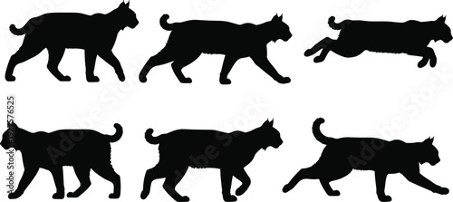Black bobcat silhouette vector set, wild lynx walking and running motion poses, forest predator cat collection isolated on white background,