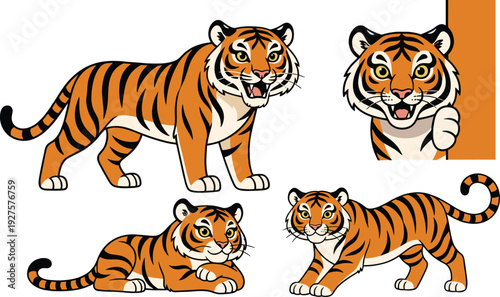 Cute tiger cartoon character set with different poses, standing, sitting, and peeking, wild animal vector illustration, mascot.