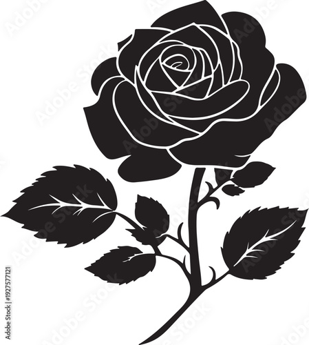 Group of diverse people in silhouette celebrating life against a backdrop of abstract, colorful energy.