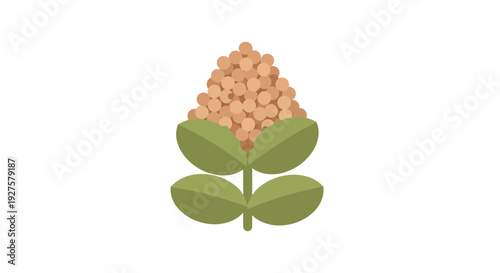 Grain illustration, vector style graphic, agriculture and farming concept, harvest season design