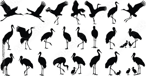 Black crane and stork silhouette vector set, heron avian bird collection, wetland wildlife flying and standing isolated on white background,