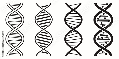 A visual representation of the double helix structure of dna and rna Vector