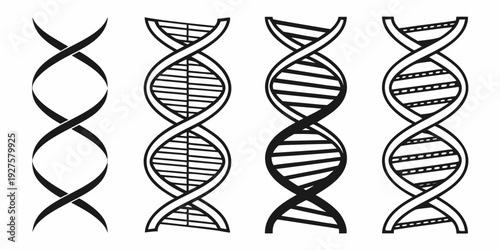 Illustration of various dna structures showcasing different forms and complexities Vector