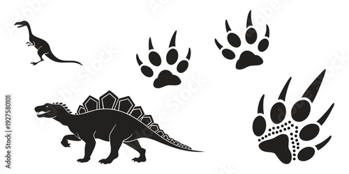 A collection of various dinosaur footprints and silhouettes Vector
