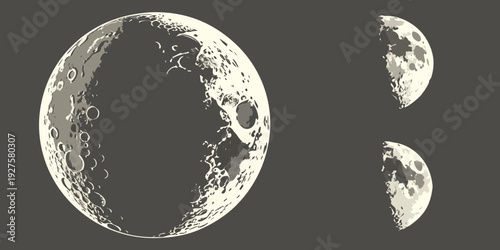 A captivating depiction of the moon's phases in a celestial dance Vector