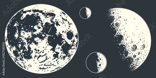 A captivating depiction of the moon's phases in a vintage illustration style. Vector