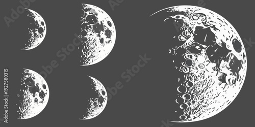 The eight phases of the moon in a sequential and symmetrical arrangement Vector
