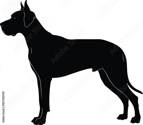 Great Dane silhouette vector illustration, standing black canine profile isolated on white background, detailed domestic dog graphic design