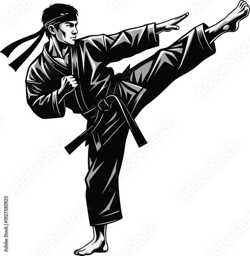 Martial arts silhouette, karate high kick, taekwondo stance, judo practice, aikido move, kungfu training, martial discipline, combat fitness, martial arts illustration, flavector