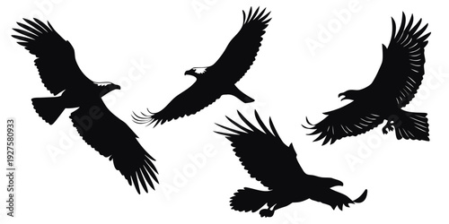 Four black birds in flight against a white background Vector