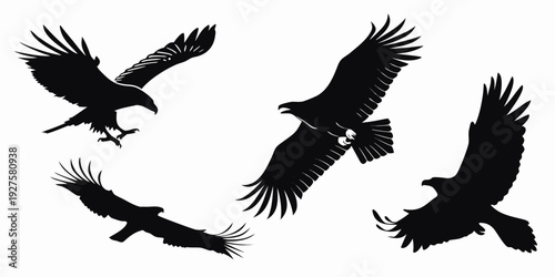 A group of birds in flight against a white background Vector