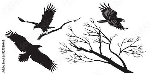 Three black birds flying over a tree branch in a white background Vector
