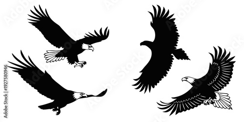 Three black birds flying in the sky with outstretched wings Vector