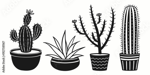Illustration of three cacti and a tall columnar cactus in pots Vector