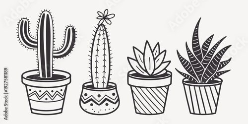 A variety of potted cacti and succulents arranged in a row on a table. Vector