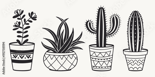 A variety of potted plants including cacti and succulents displayed on a shelf. Vector