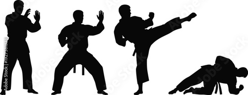 Martial arts silhouettes, defensive stance, wide‑legged pose, high side kick, grappling technique, combat training, fitness, discipline, sport, flavector