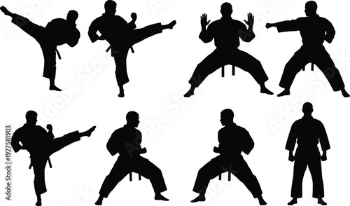 Martial arts silhouettes, karate poses, taekwondo stances, self defense training, combat practice, martial discipline, fitness workout, martial arts illustration, flavector
