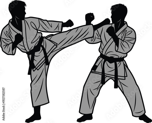Martial arts sparring, karate gi, black belt, high side kick, defensive block, combat training, discipline, fitness, sport, technique, flavector