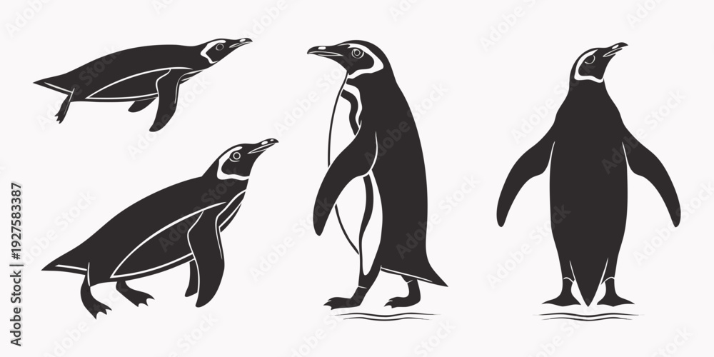 Obraz premium Four different types of penguins standing on a flat surface Vector