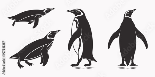 Four different types of penguins standing on a flat surface Vector