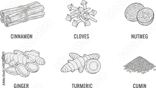 Hand drawn spice set outline illustration, flat vector collection of cinnamon cloves nutmeg ginger turmeric cumin isolated on white background