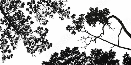A black and white photograph of a bird perched on a tree branch against a blurred background Vector