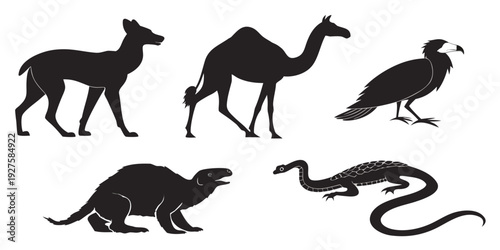 A diverse collection of animals including a dog, camel, vulture, platypus, and snake Vector