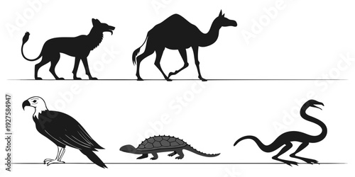 Diverse group of animals showcasing different species and their unique characteristics Vector